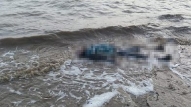 Фото - На берегу реки в Ростовской области найдено тело подростка